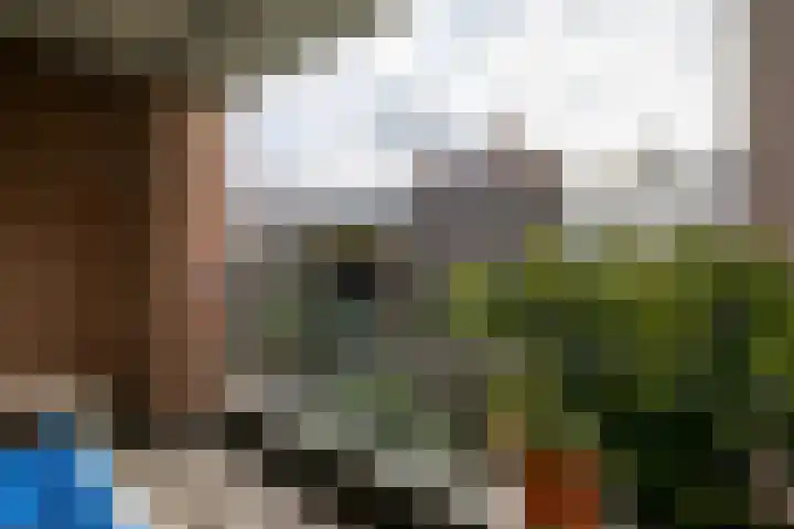 Vroonhof 22 Haarlem thumbnail 16