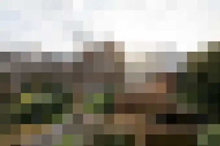 Vroonhof 22 Haarlem thumbnail 17