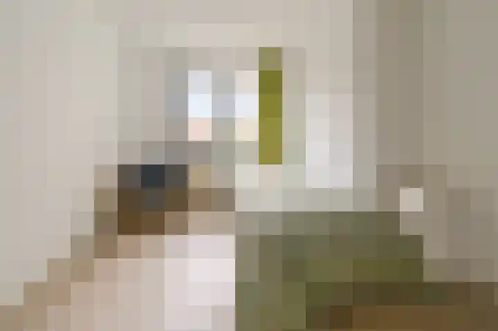 Vroonhof 38 Haarlem thumbnail 18