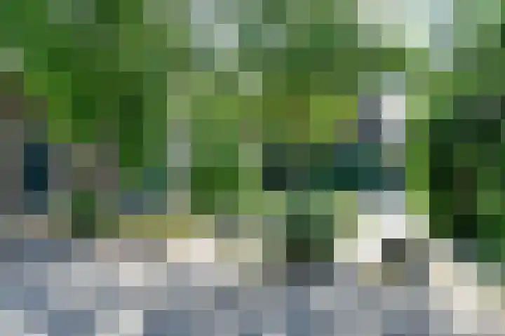 Vroonhof 38 Haarlem thumbnail 28