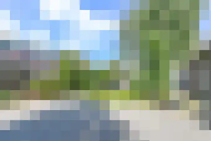 Vroonhof 38 Haarlem thumbnail 31