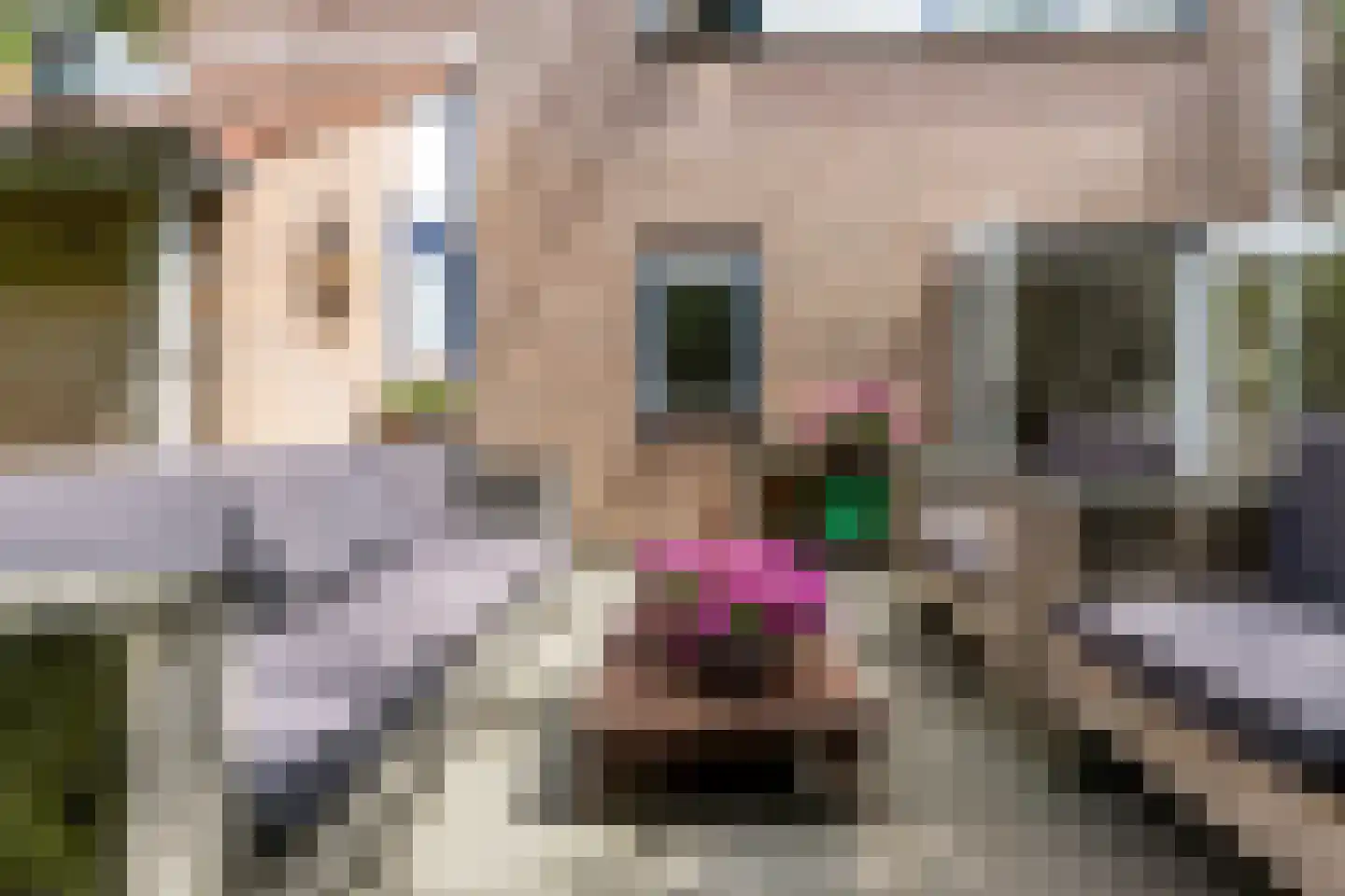 Vroonhof 4 Haarlem thumbnail 10