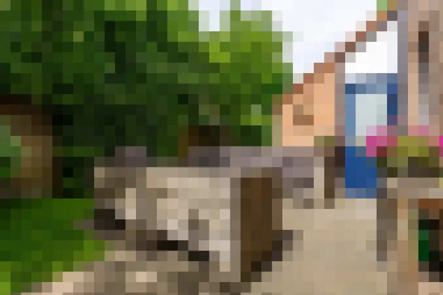 Vroonhof 4 Haarlem thumbnail 11