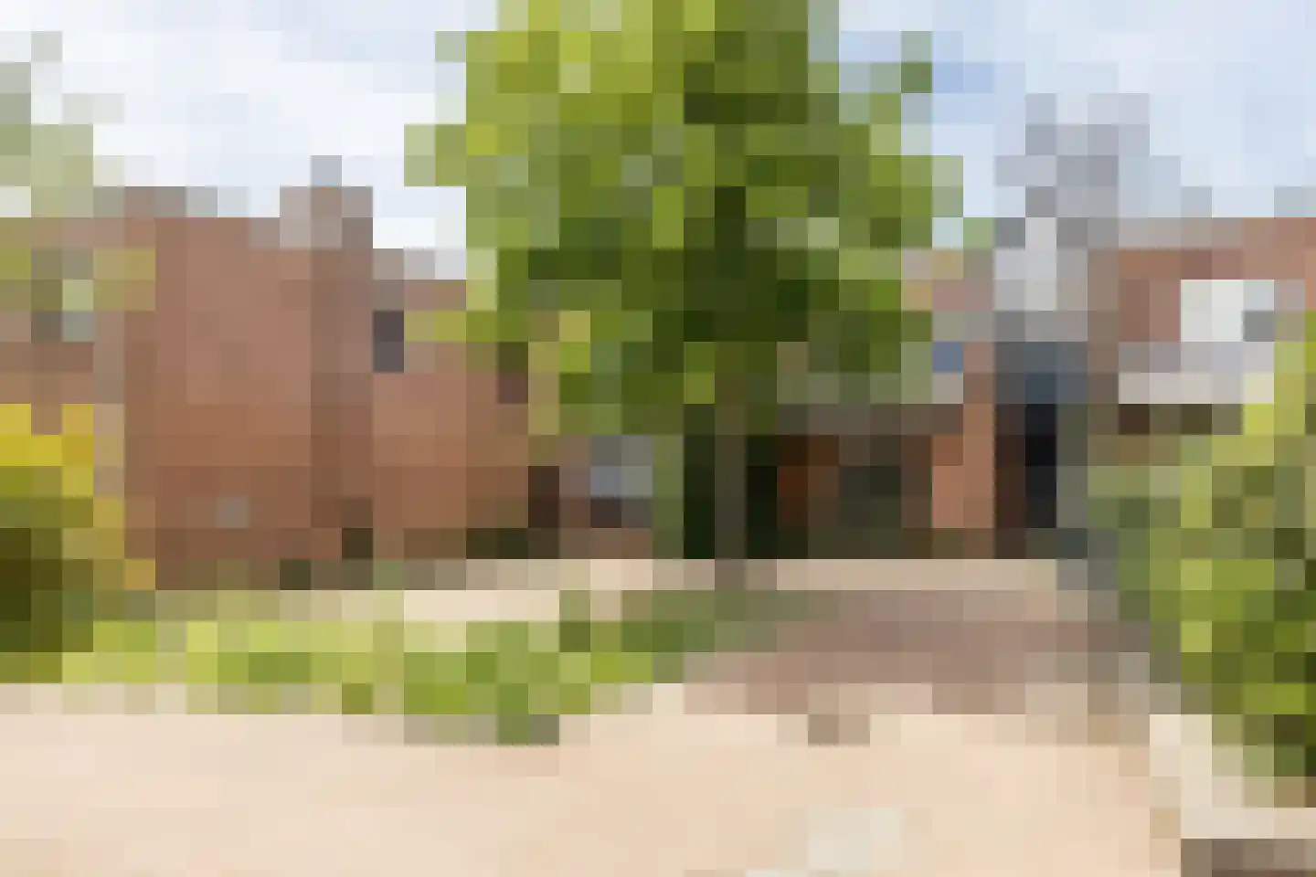 Vroonhof 4 Haarlem thumbnail 24
