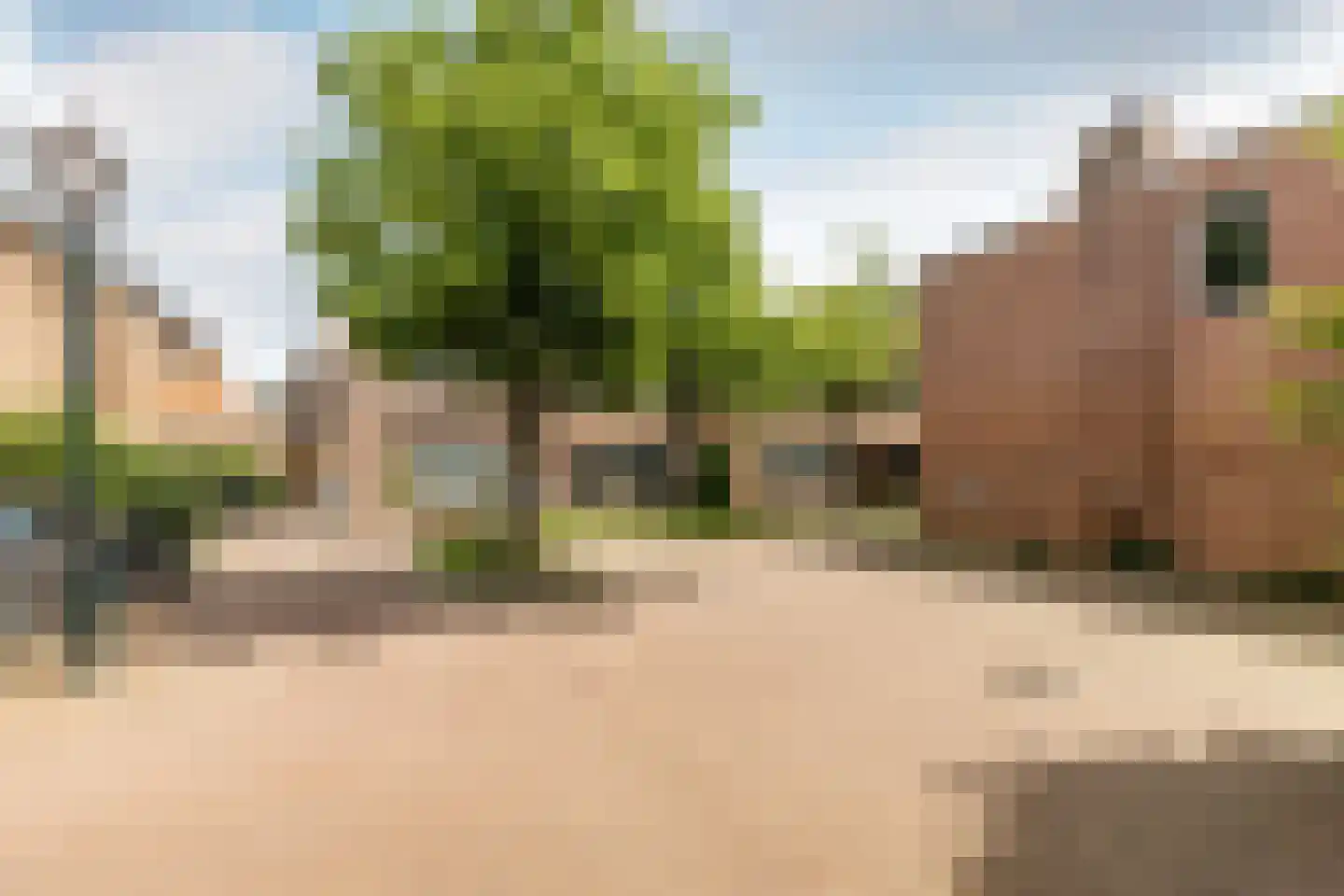 Vroonhof 4 Haarlem thumbnail 26