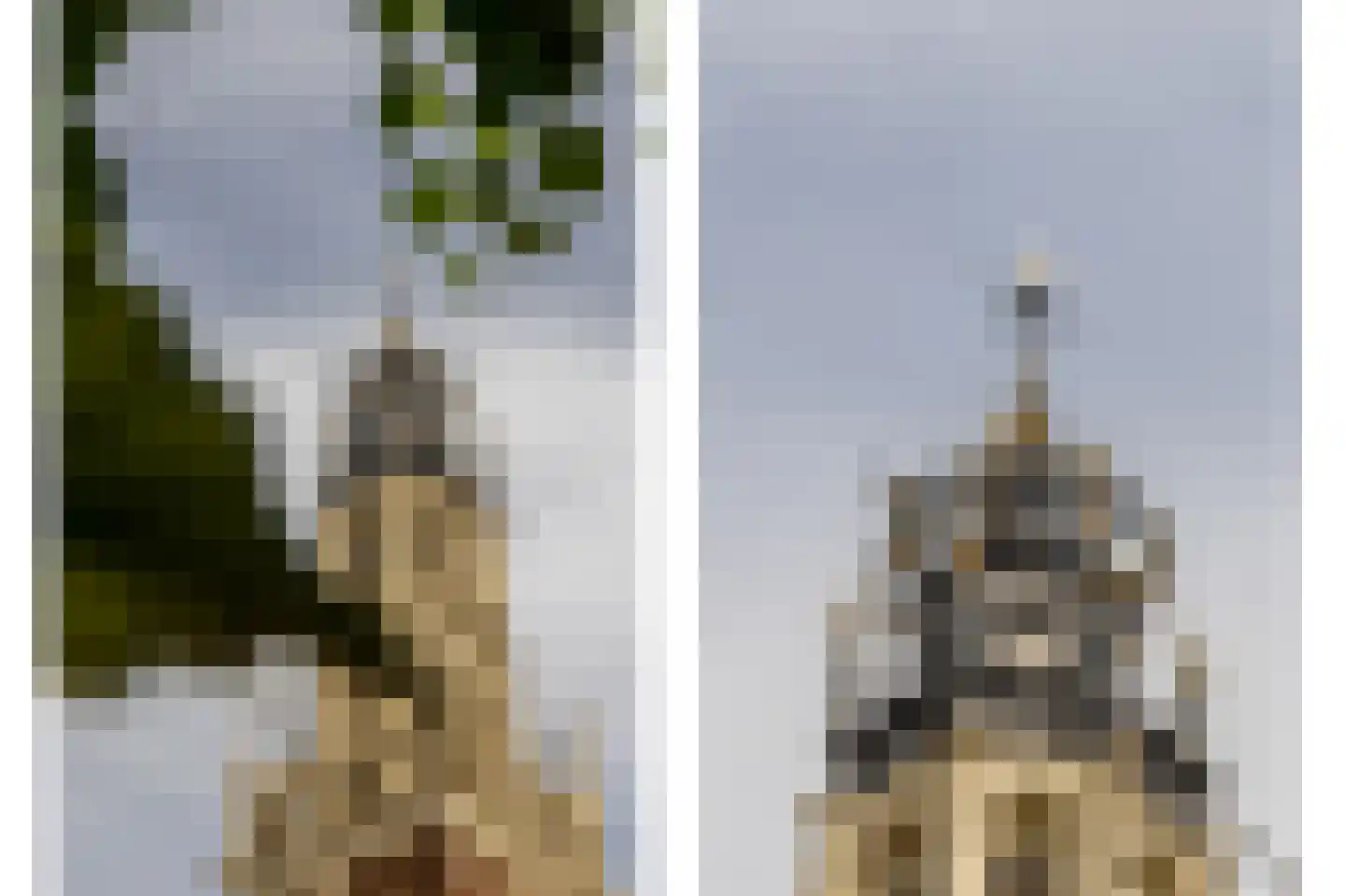 Vroonhof 4 Haarlem thumbnail 28