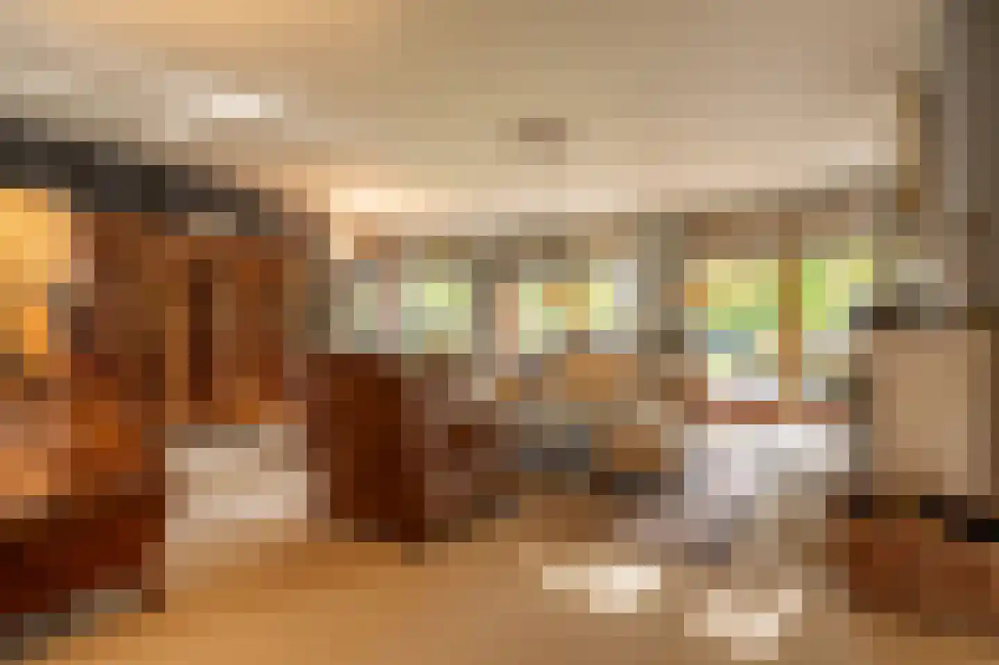 Vroonland 11 Mijnsheerenland thumbnail 13