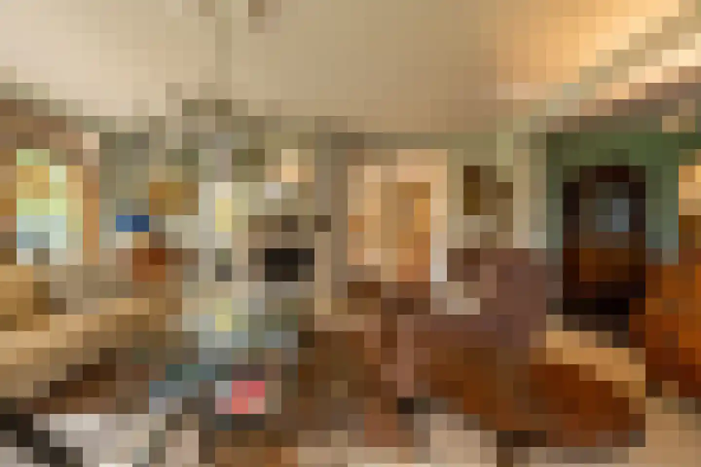 Vroonland 11 Mijnsheerenland thumbnail 14