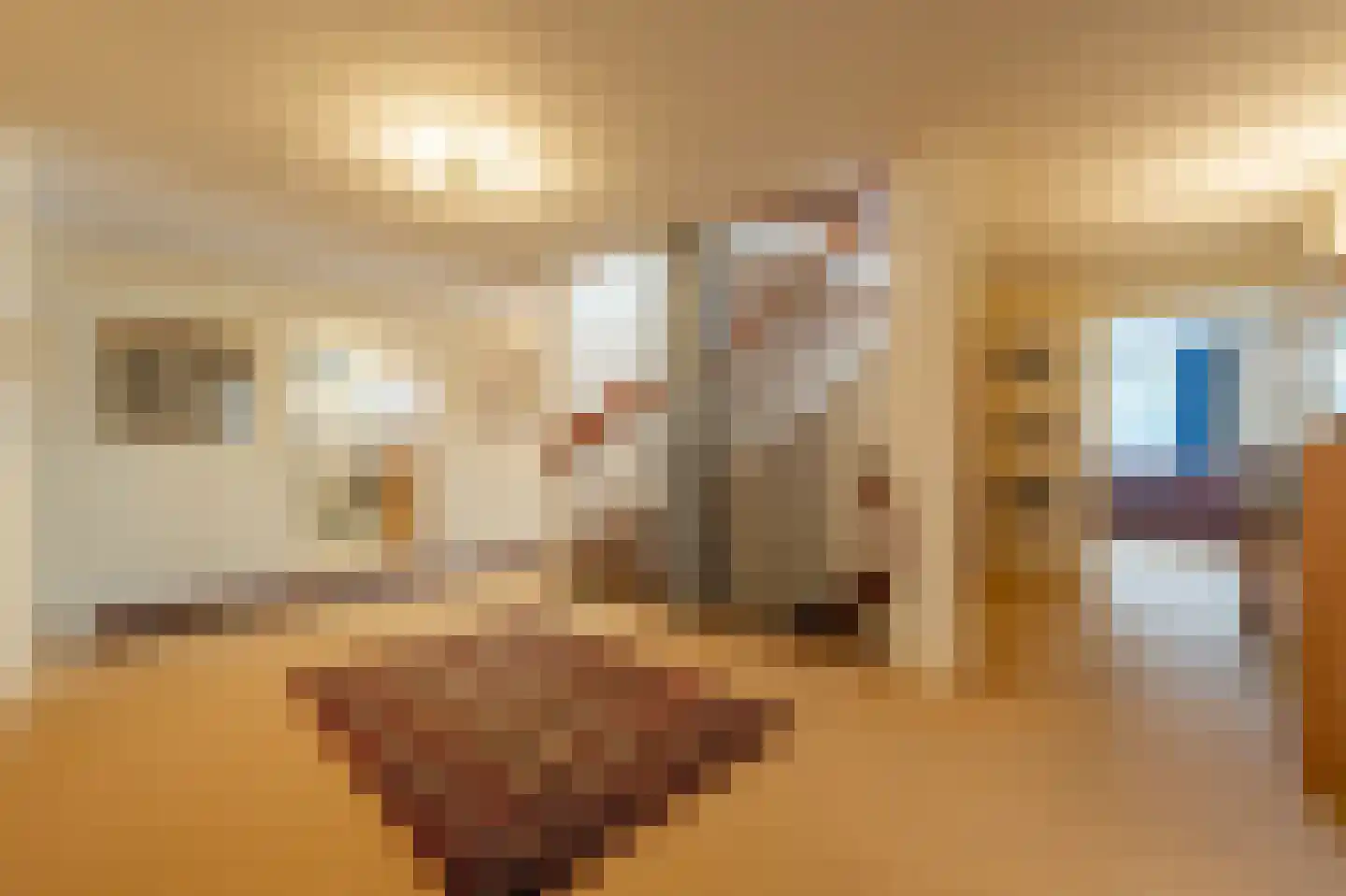 Vroonland 11 Mijnsheerenland thumbnail 20