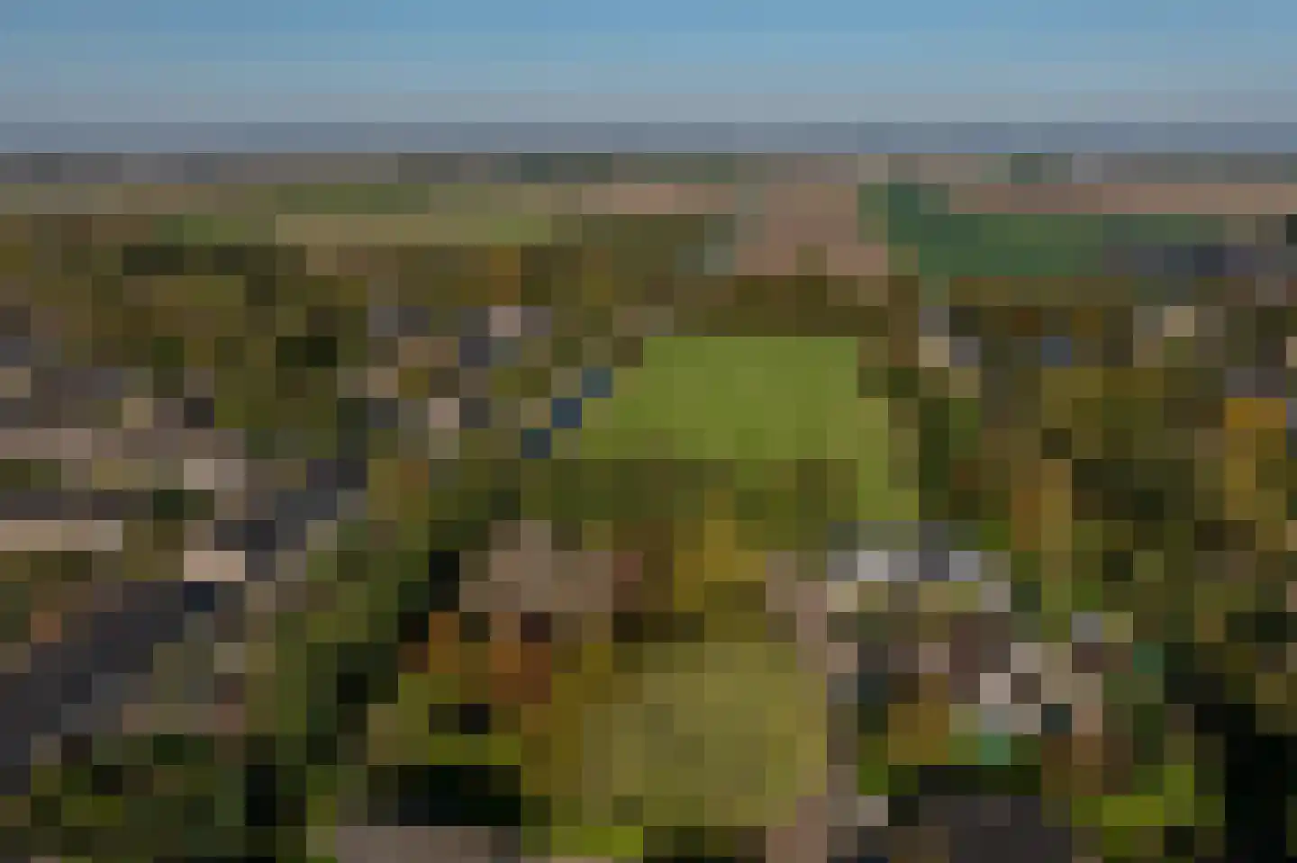 Vroonland 11 Mijnsheerenland thumbnail 29
