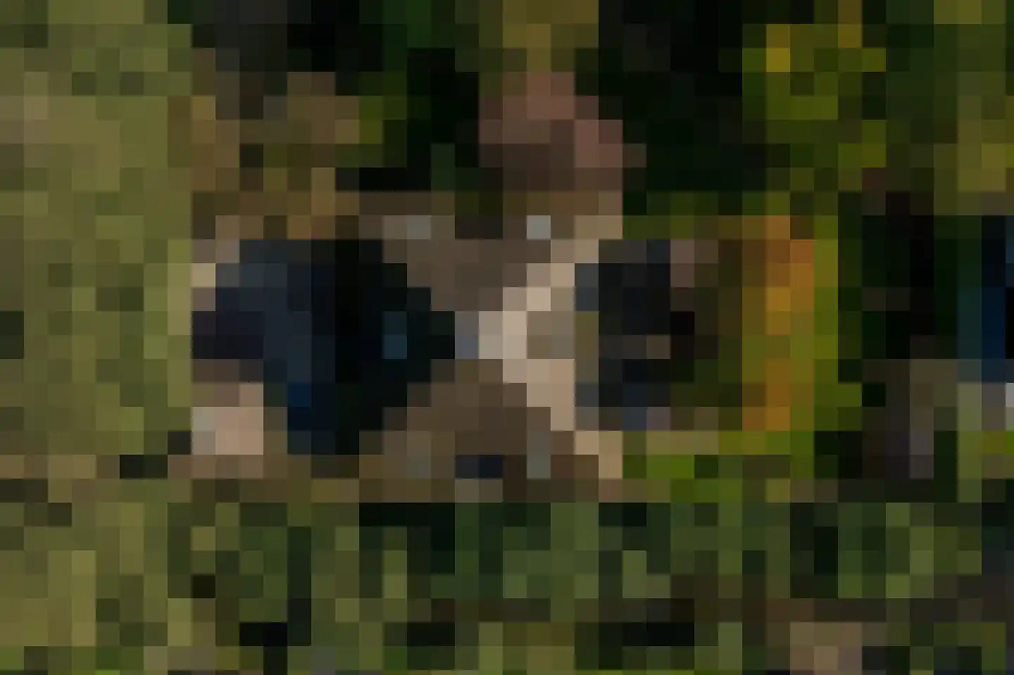 Vroonland 11 Mijnsheerenland thumbnail 30