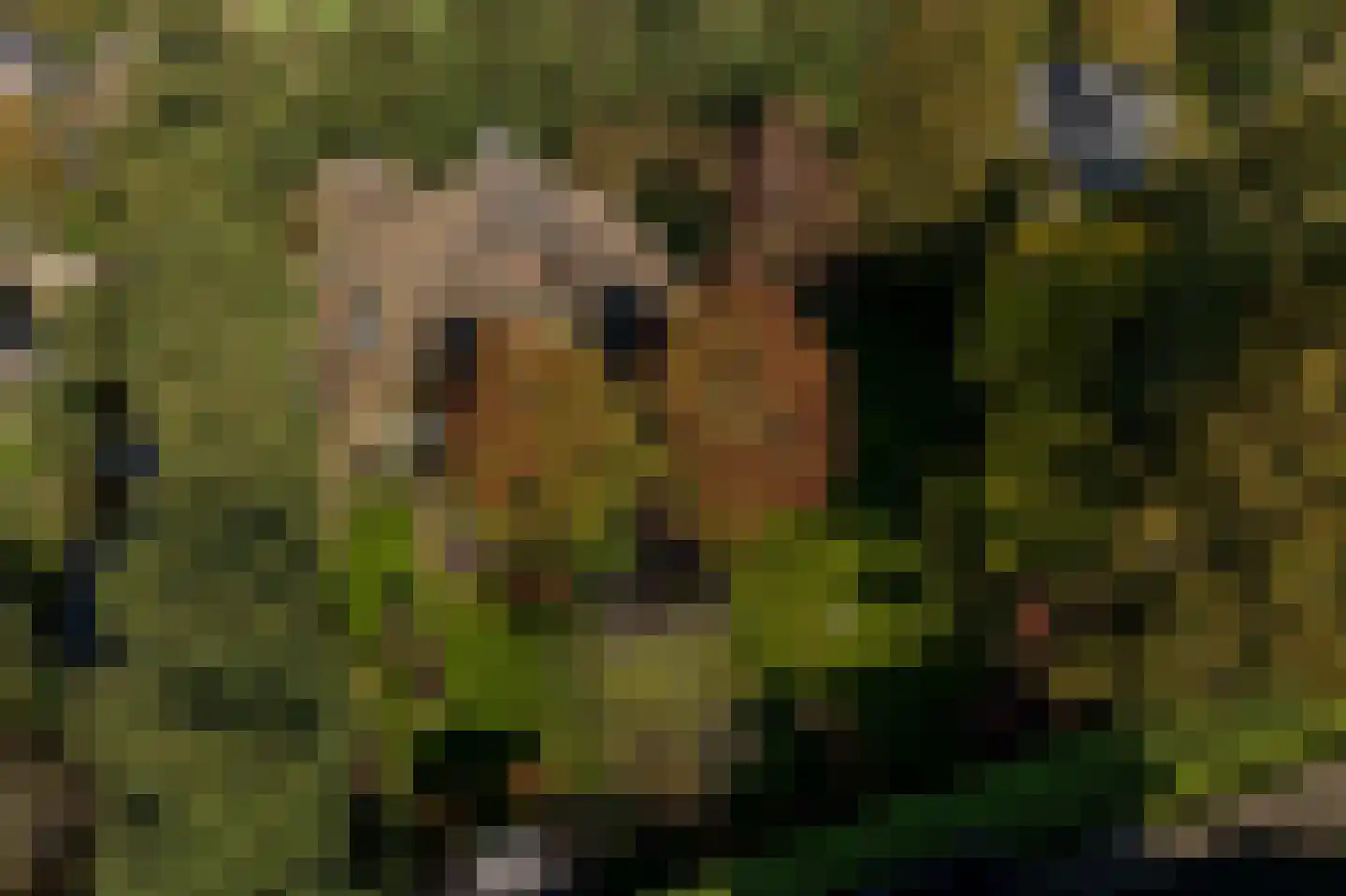 Vroonland 11 Mijnsheerenland thumbnail 31