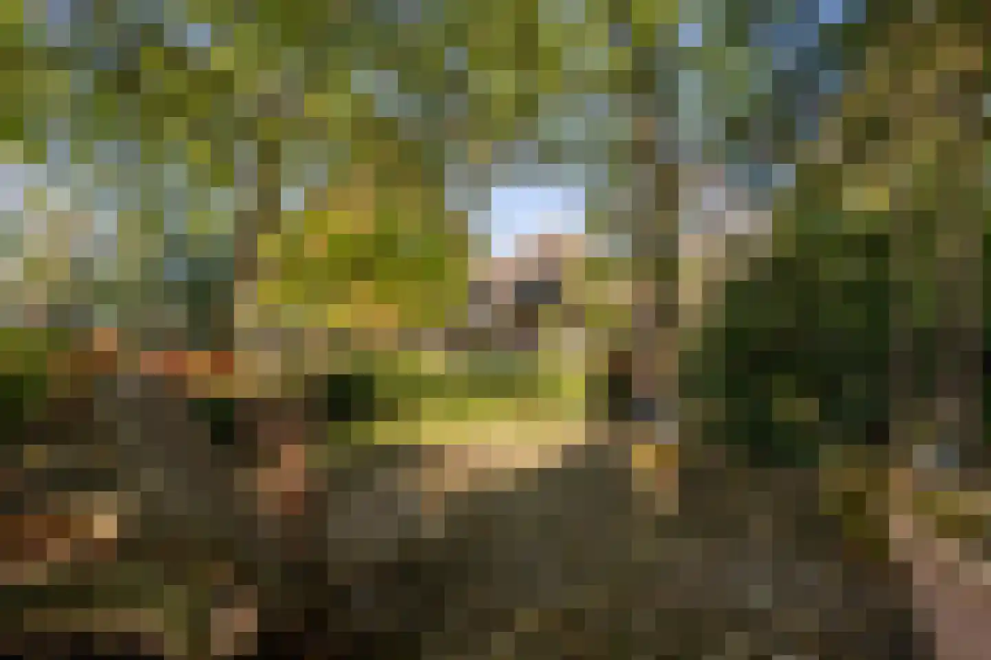 Vroonland 11 Mijnsheerenland thumbnail 32