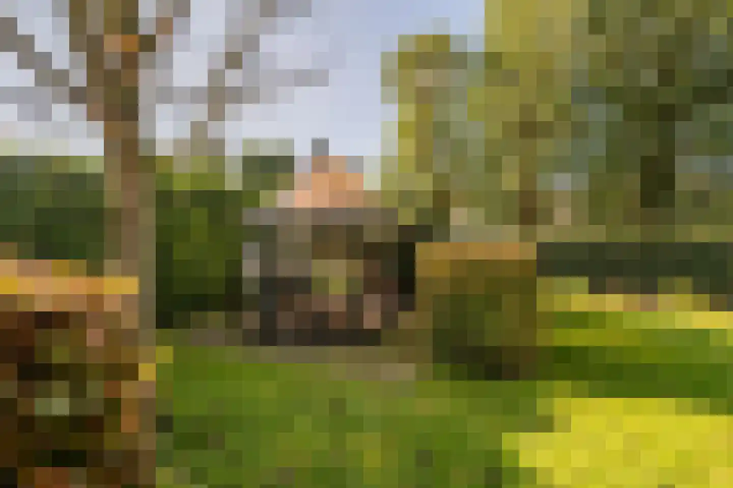 Vroonland 11 Mijnsheerenland thumbnail 33