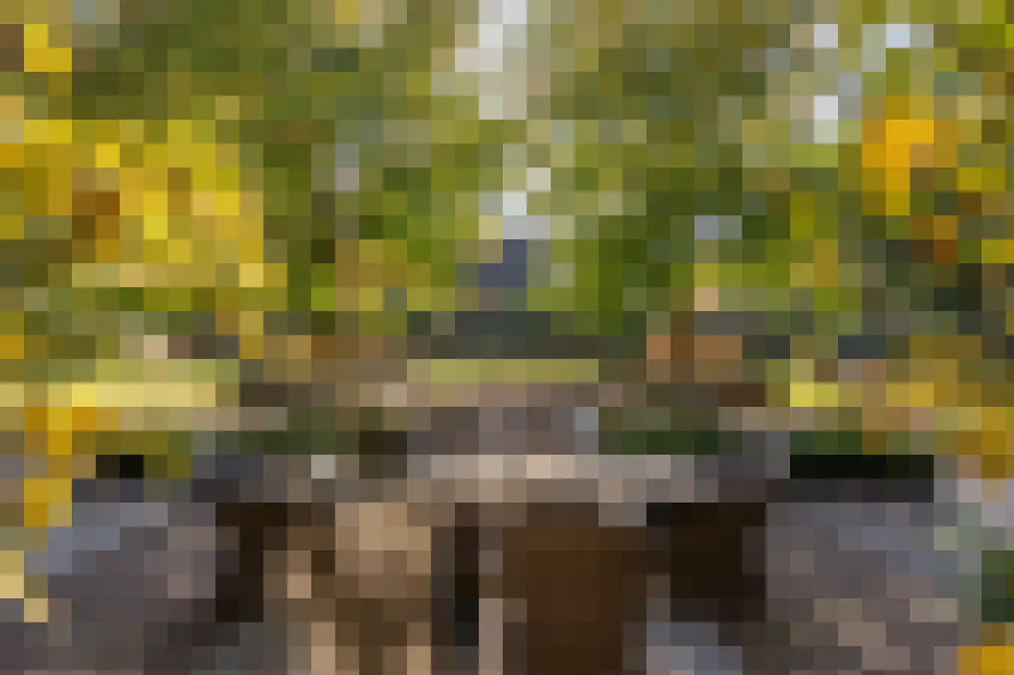 Vroonland 11 Mijnsheerenland thumbnail 34