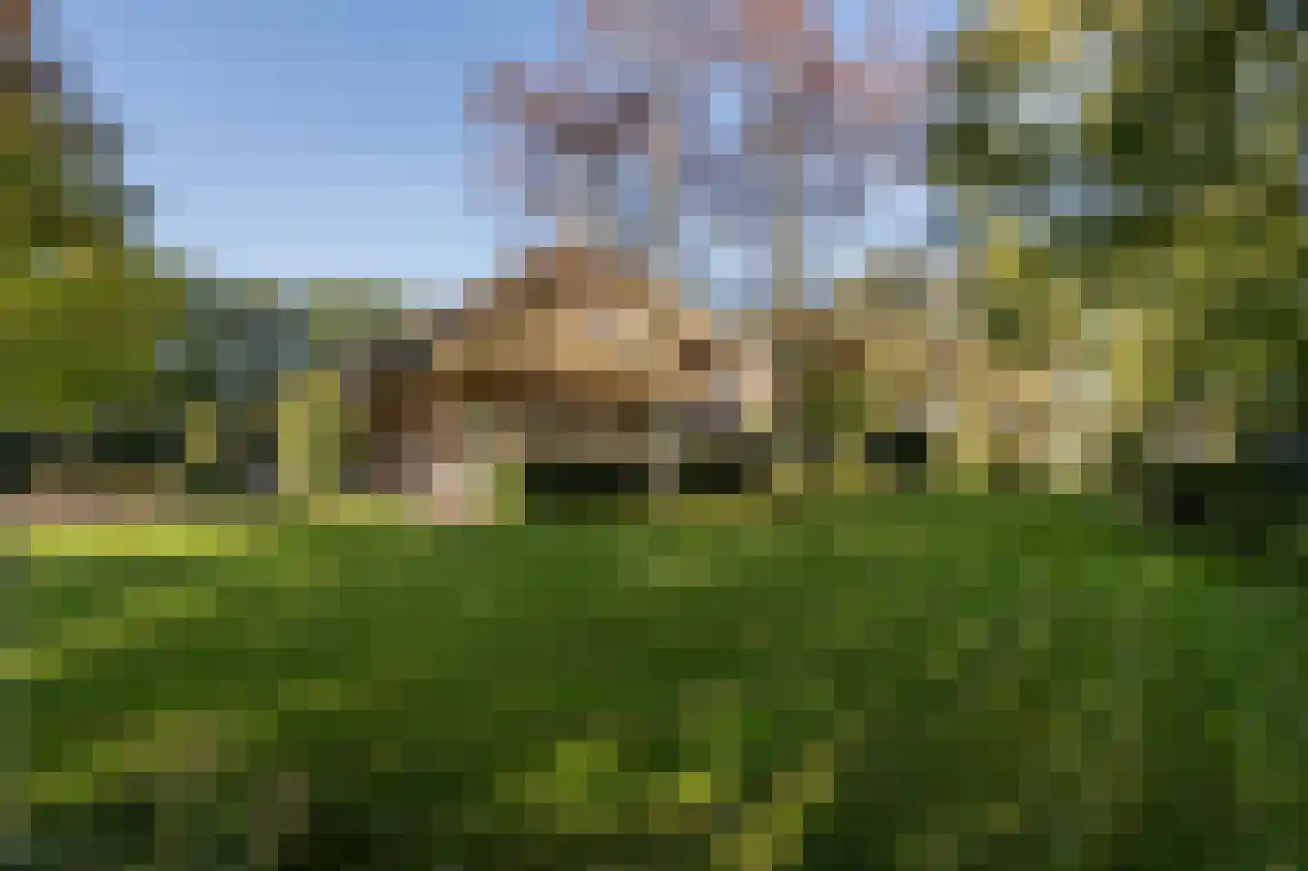 Vroonland 11 Mijnsheerenland thumbnail 4
