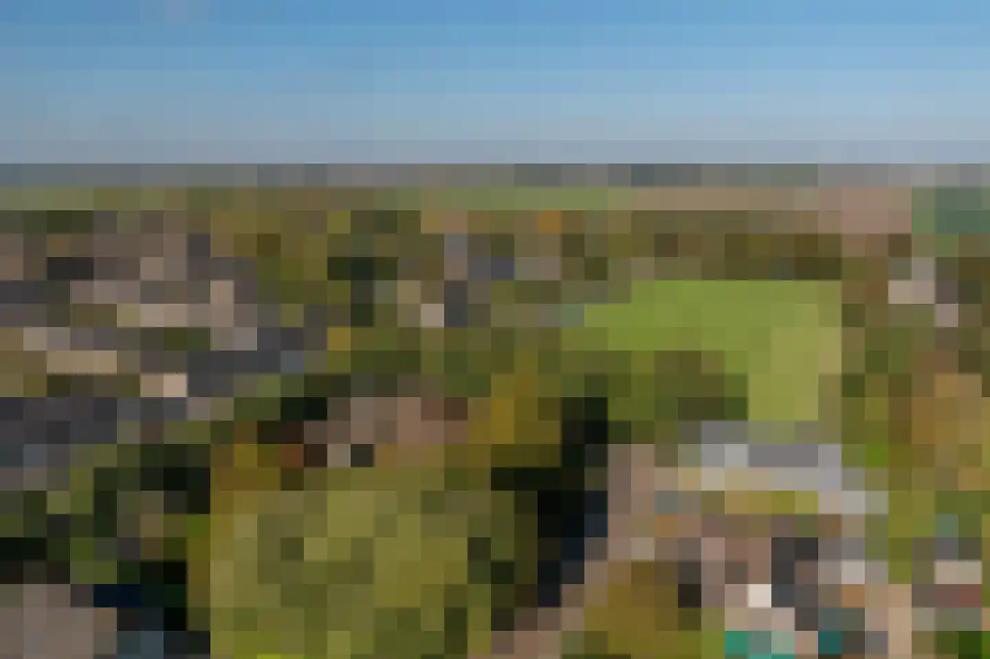 Vroonland 11 Mijnsheerenland thumbnail 5