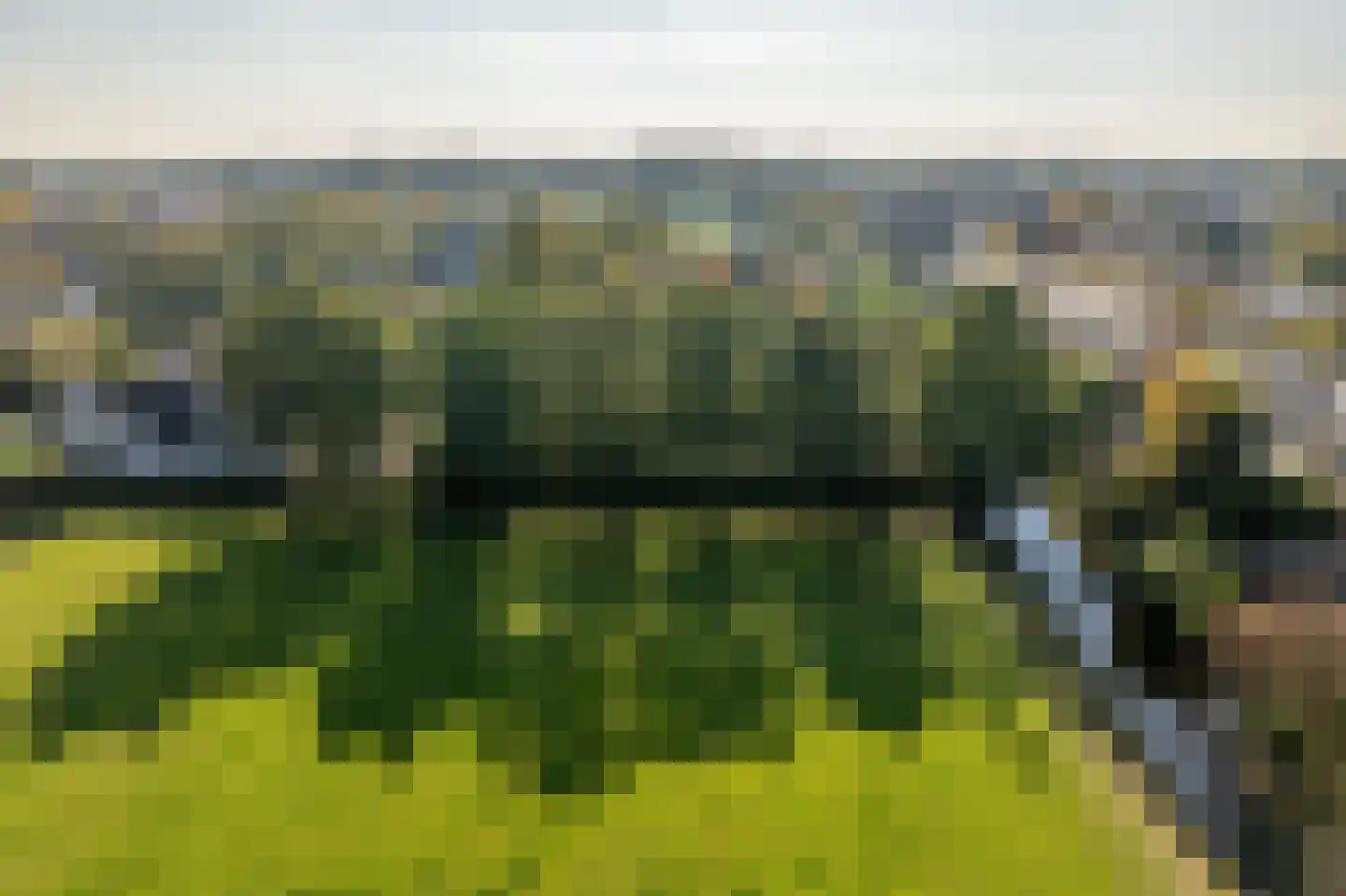 Vroonland 11 Mijnsheerenland thumbnail 6