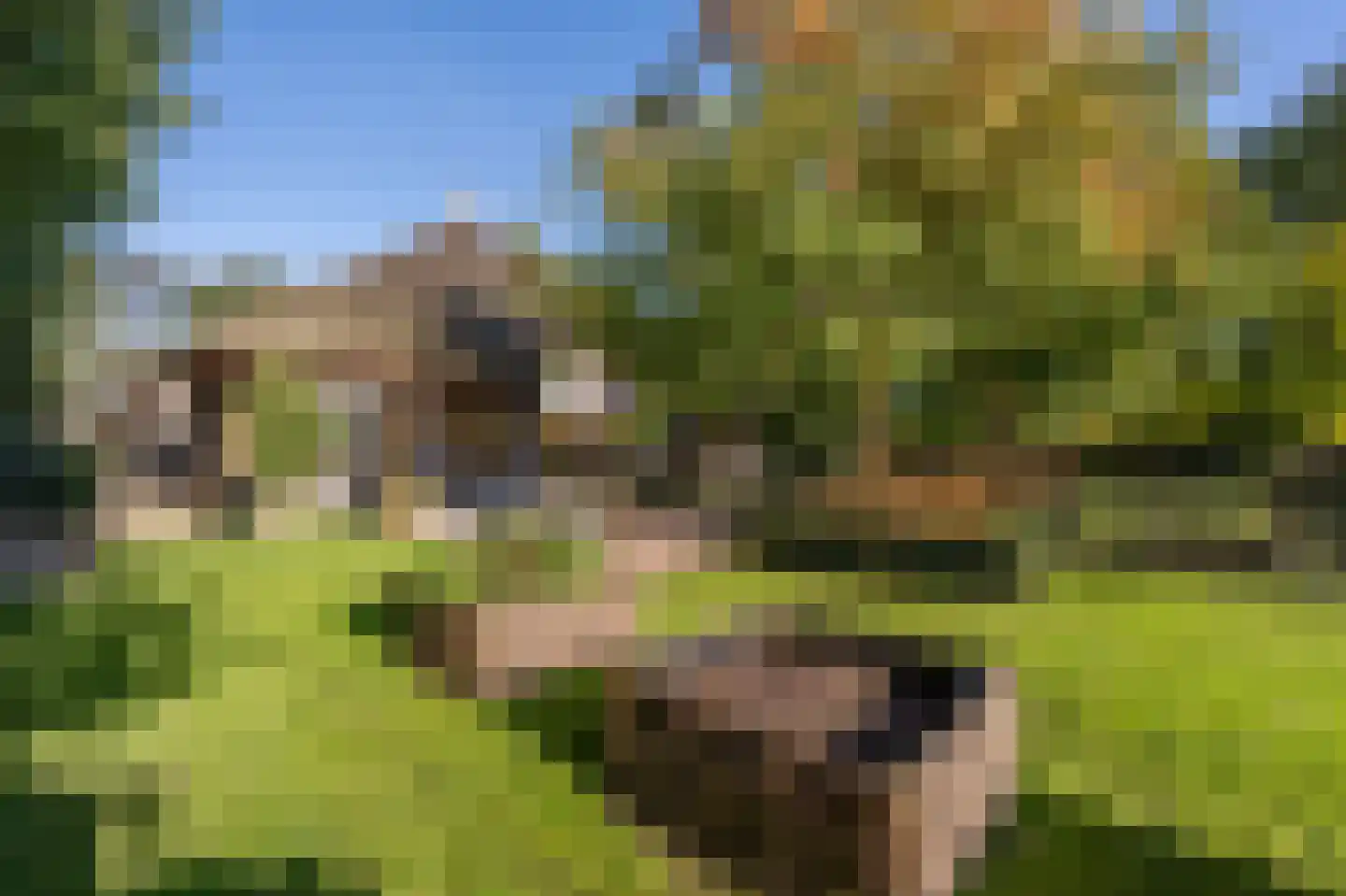 Vroonland 11 Mijnsheerenland thumbnail 7