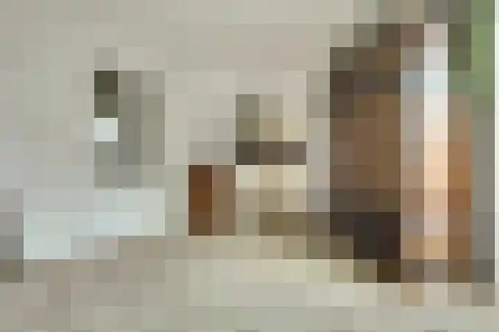 Vroonland 25 Yerseke thumbnail 10