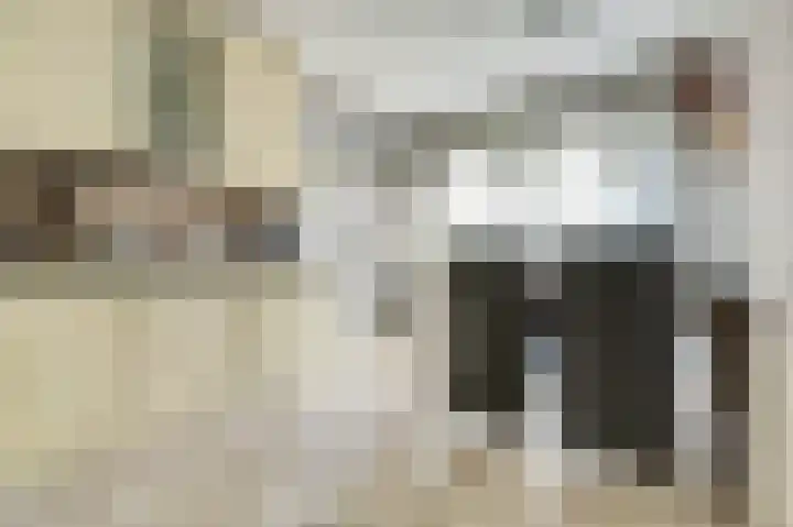 Vroonland 25 Yerseke thumbnail 12