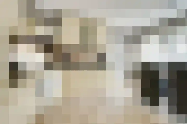Vroonland 25 Yerseke thumbnail 13