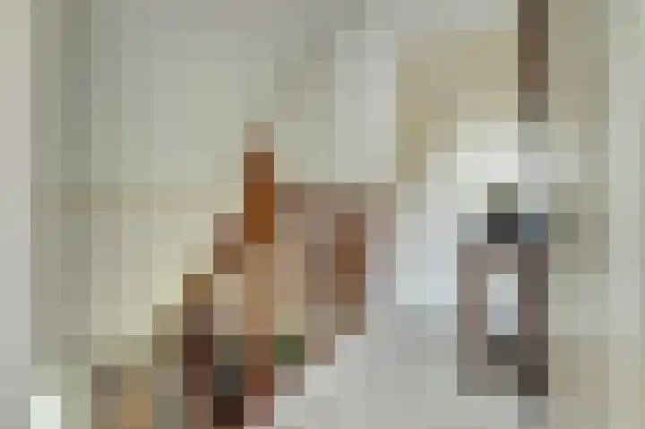 Vroonland 25 Yerseke thumbnail 18