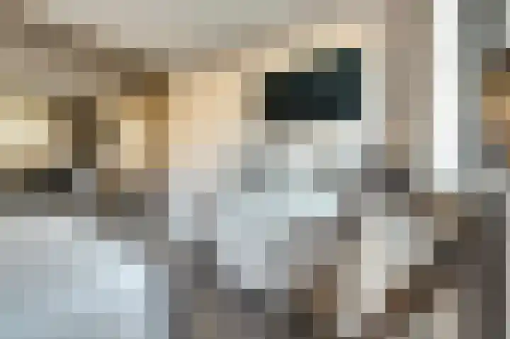 Vroonland 25 Yerseke thumbnail 20