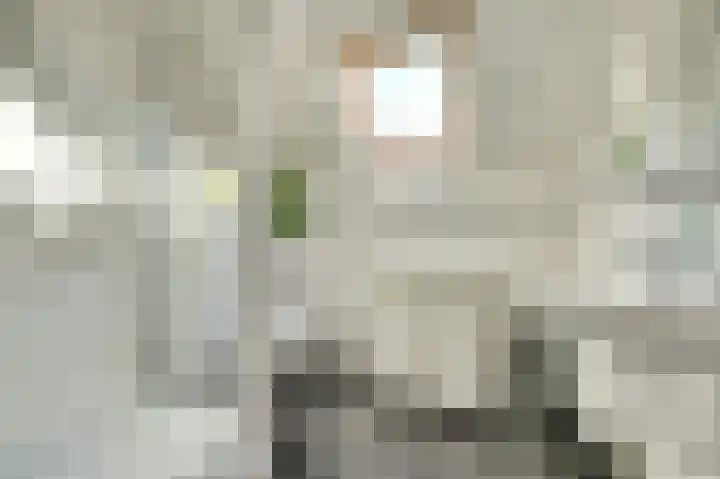 Vroonland 25 Yerseke thumbnail 22