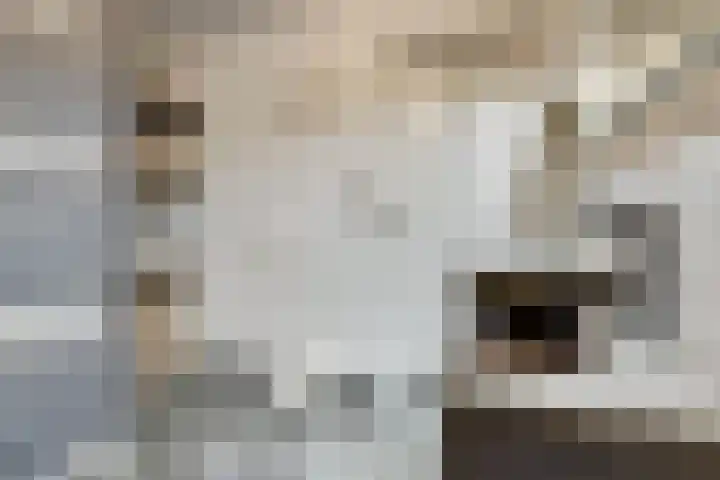 Vroonland 25 Yerseke thumbnail 23