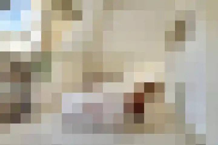 Vroonland 25 Yerseke thumbnail 26
