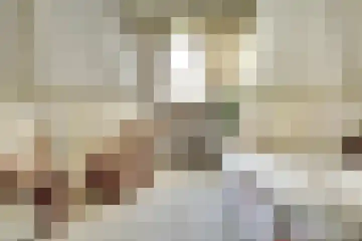 Vroonland 25 Yerseke thumbnail 27