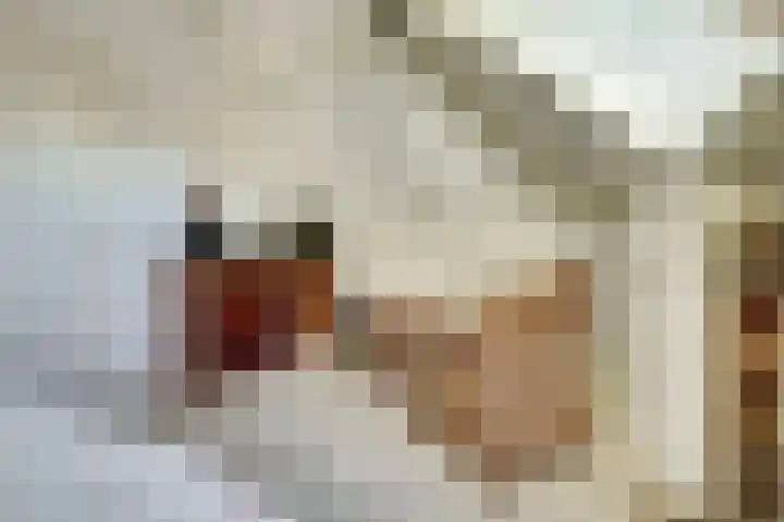 Vroonland 25 Yerseke thumbnail 28