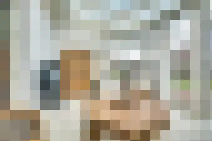Vroonland 25 Yerseke thumbnail 33