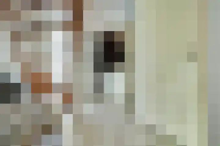 Vroonland 25 Yerseke thumbnail 4