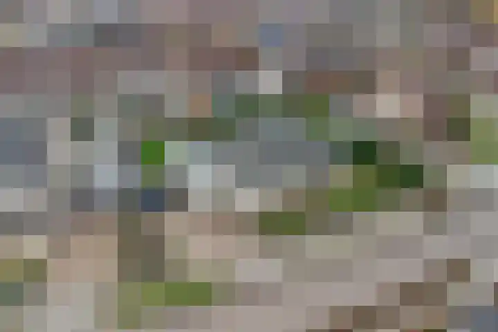 Vroonland 25 Yerseke thumbnail 47