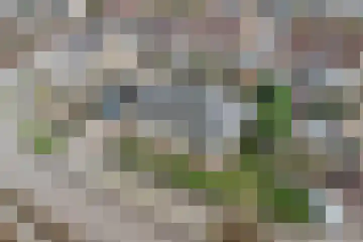 Vroonland 25 Yerseke thumbnail 48