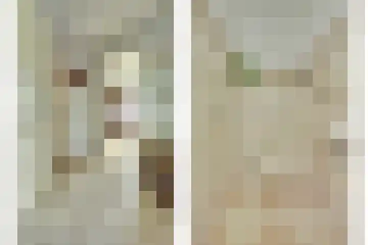 Vroonland 25 Yerseke thumbnail 6