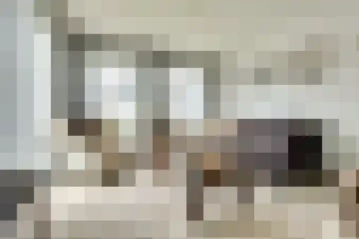 Vroonland 25 Yerseke thumbnail 8