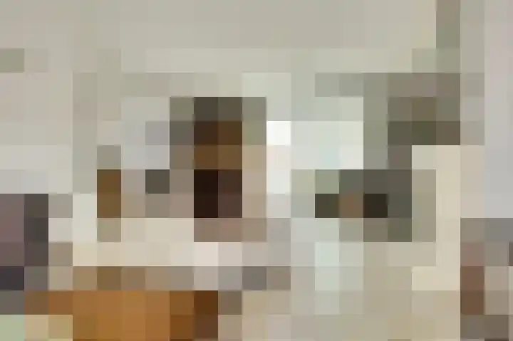 Vroonland 25 Yerseke thumbnail 9