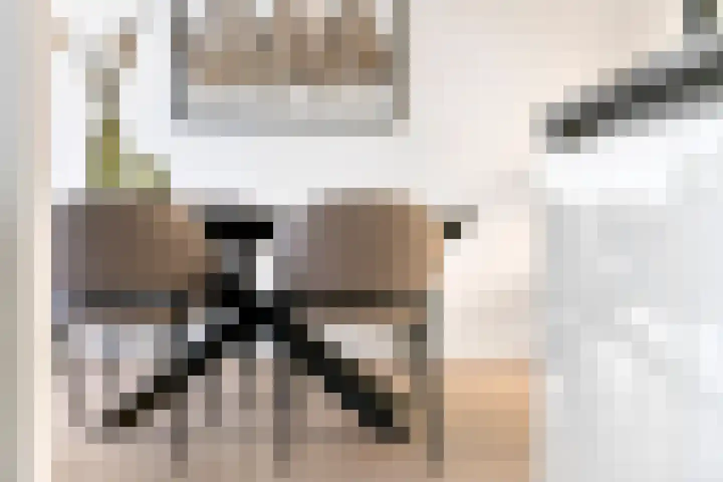 Vroonland 28 Beusichem thumbnail 13