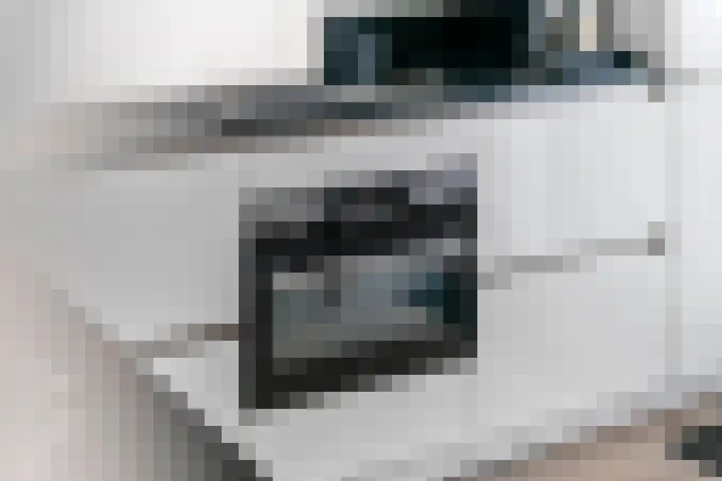 Vroonland 28 Beusichem thumbnail 17