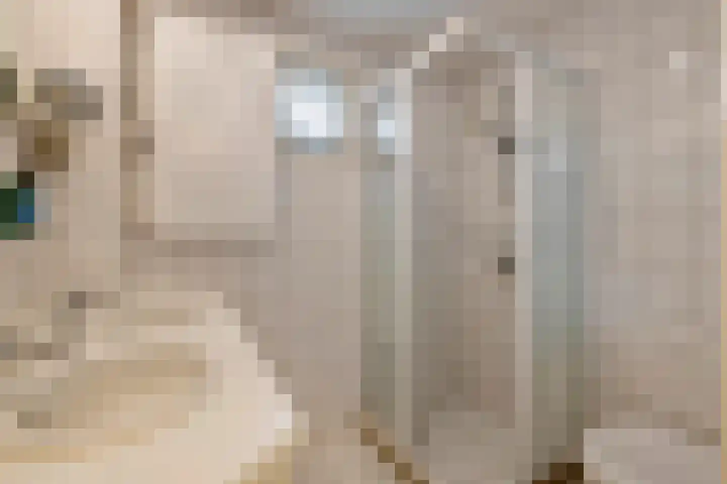 Vroonland 28 Beusichem thumbnail 29
