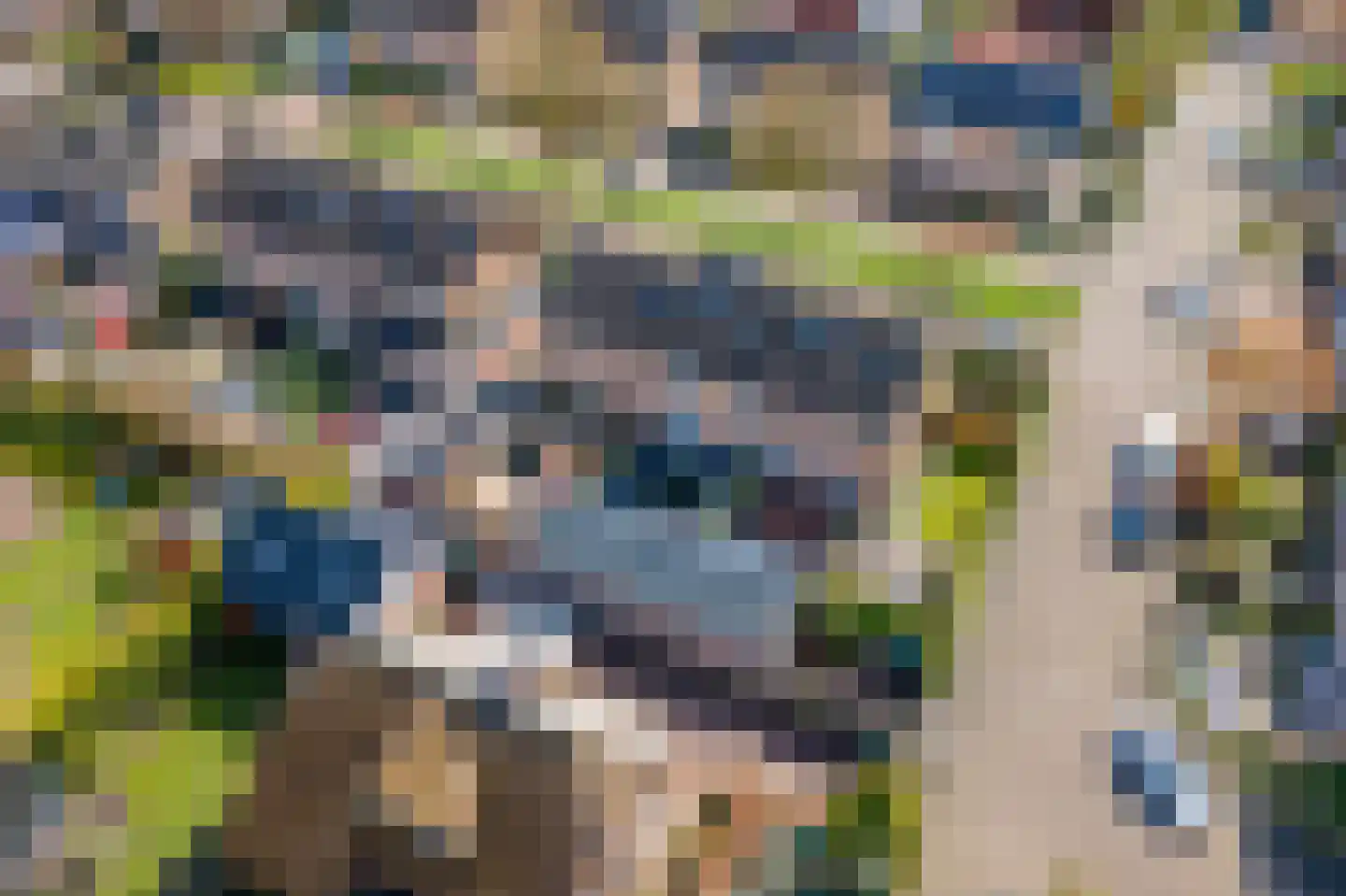 Vroonland 28 Beusichem thumbnail 39