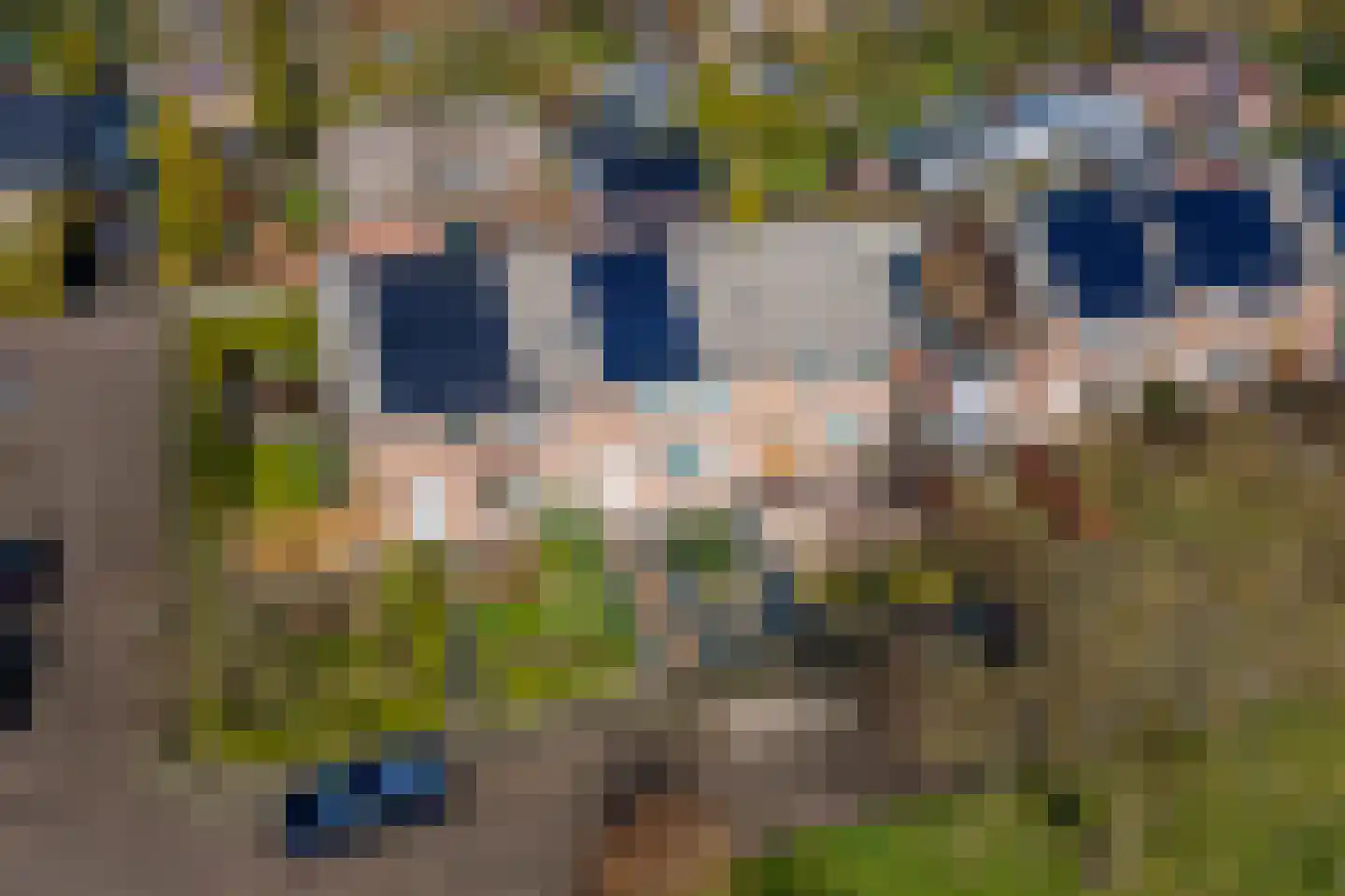 Vroonland 28 Beusichem thumbnail 40
