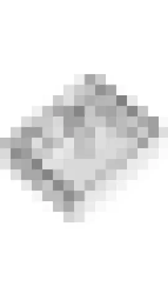 Vroonland 28 Beusichem thumbnail 43