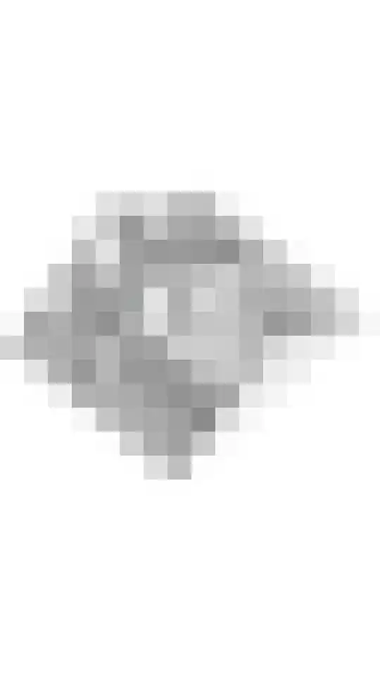 Vroonland 28 Beusichem thumbnail 47