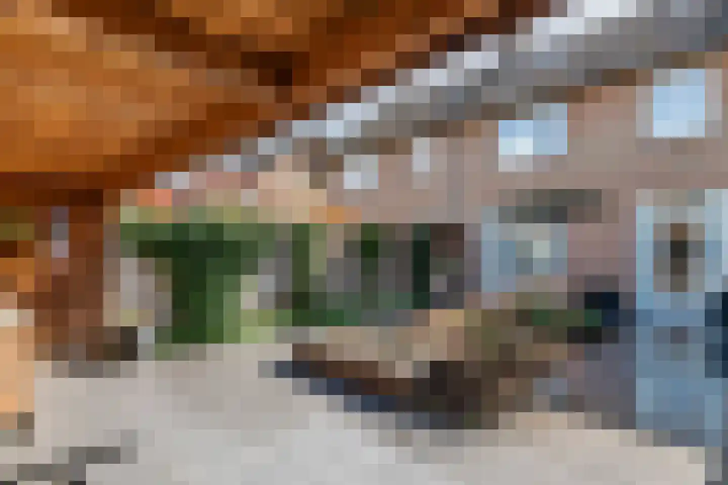Vroonland 28 Beusichem thumbnail 5