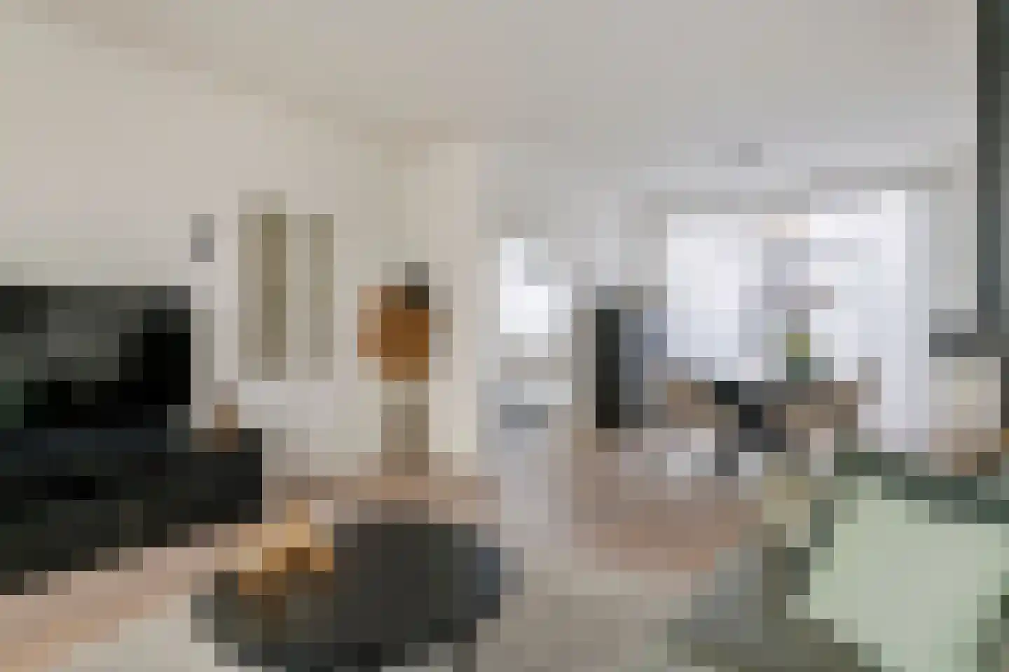 Vroonland 28 Beusichem thumbnail 7