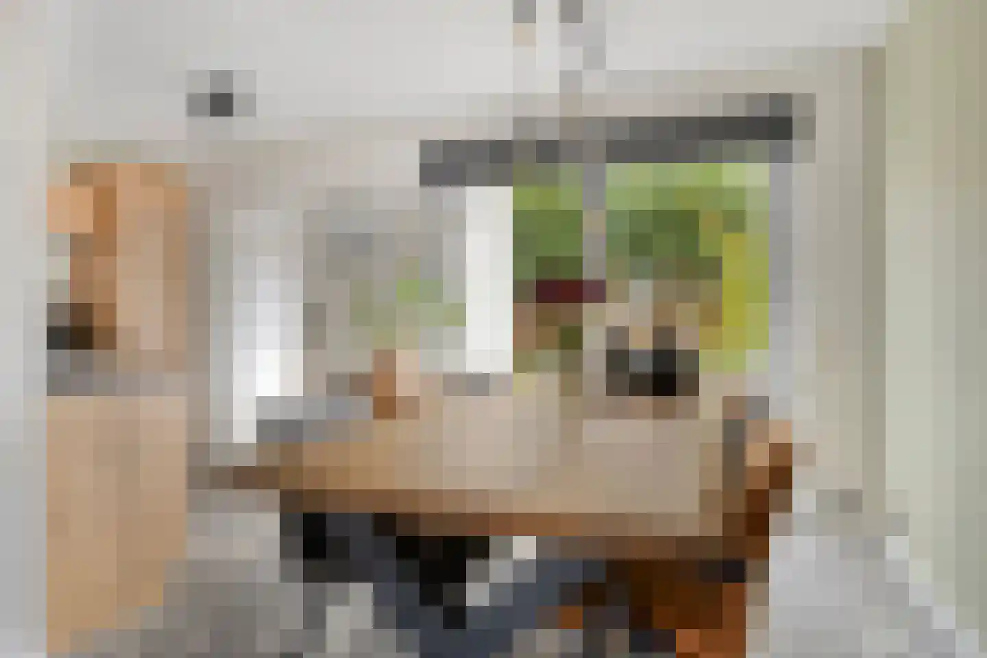 Vroonland 29 Yerseke thumbnail 18
